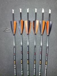 Fletxa premium asia 6.2