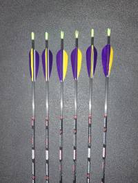 Fletxa carboni novice